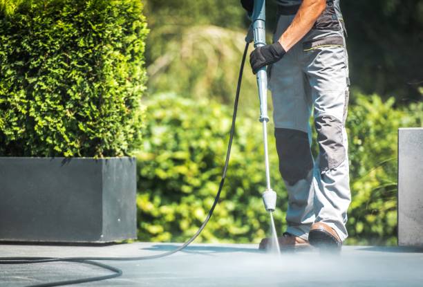 Best Factory Floor Cleaning  in Palm Harbor, FL