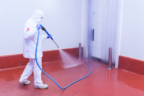 Boat and Dock Cleaning in Palm Harbor, FL