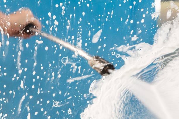 Best Soft Washing  in Palm Harbor, FL