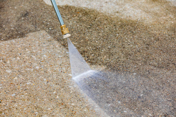 Best Driveway Pressure Washing  in Palm Harbor, FL