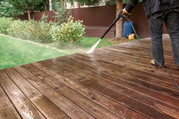  Palm Harbor, FL Pressure Washing Pros